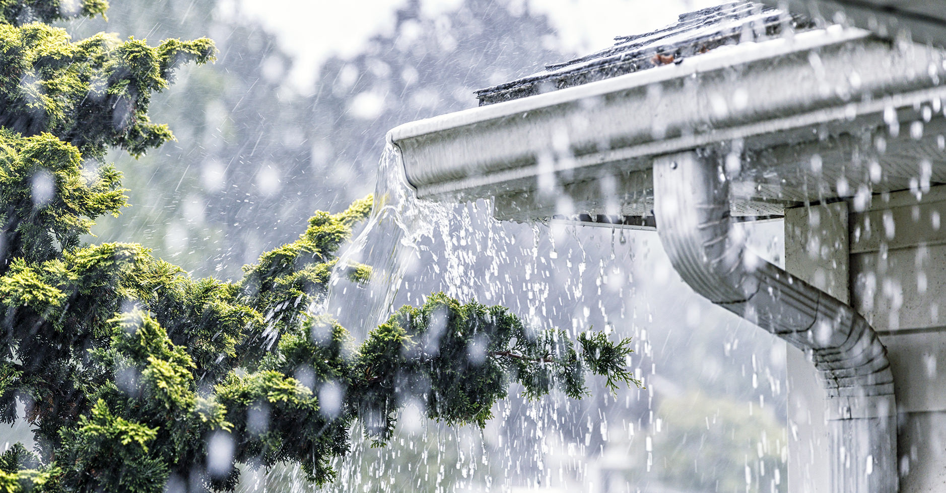 Waterproof your Property Keeping Your Investment Property Safe